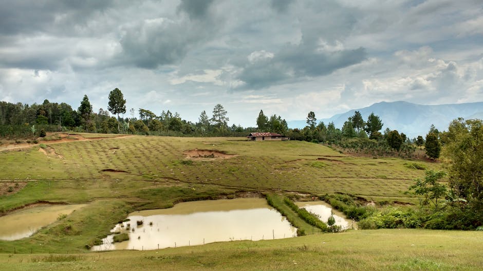 tempat wisata di wajak - Featured Image