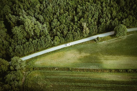 Drone shot of a white car driving along a road through lush green forests in Sundsvall, Sweden.