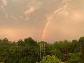 一场降雨过后，绿色的森林上空出现了一道令人惊叹的彩虹拱门，构成了一幅宁静的自然景象