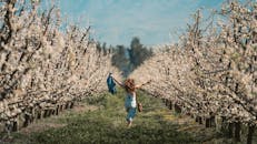 春天，一位无忧无虑的女人举起双臂，穿过盛开的果园