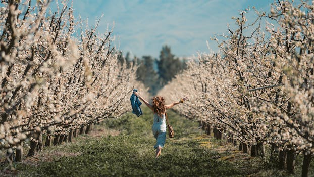 一个无忧无虑的女人穿过春天盛开的果园，举起了双臂