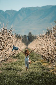 春天里，一个女人张开双臂，快乐地走过盛开的果园