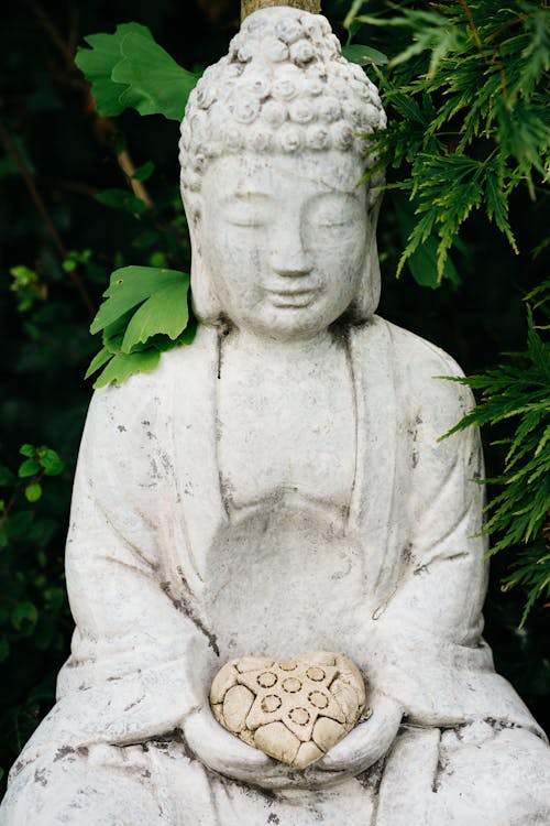 Fotobanka s bezplatnými fotkami na tému Buddha, budhista, držanie