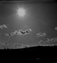Black and White Picture of Sun Shining Above a Forest 