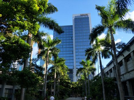 Photo by GRace Wu A towering modern skyscraper surrounded by palm trees under a clear blue sky.