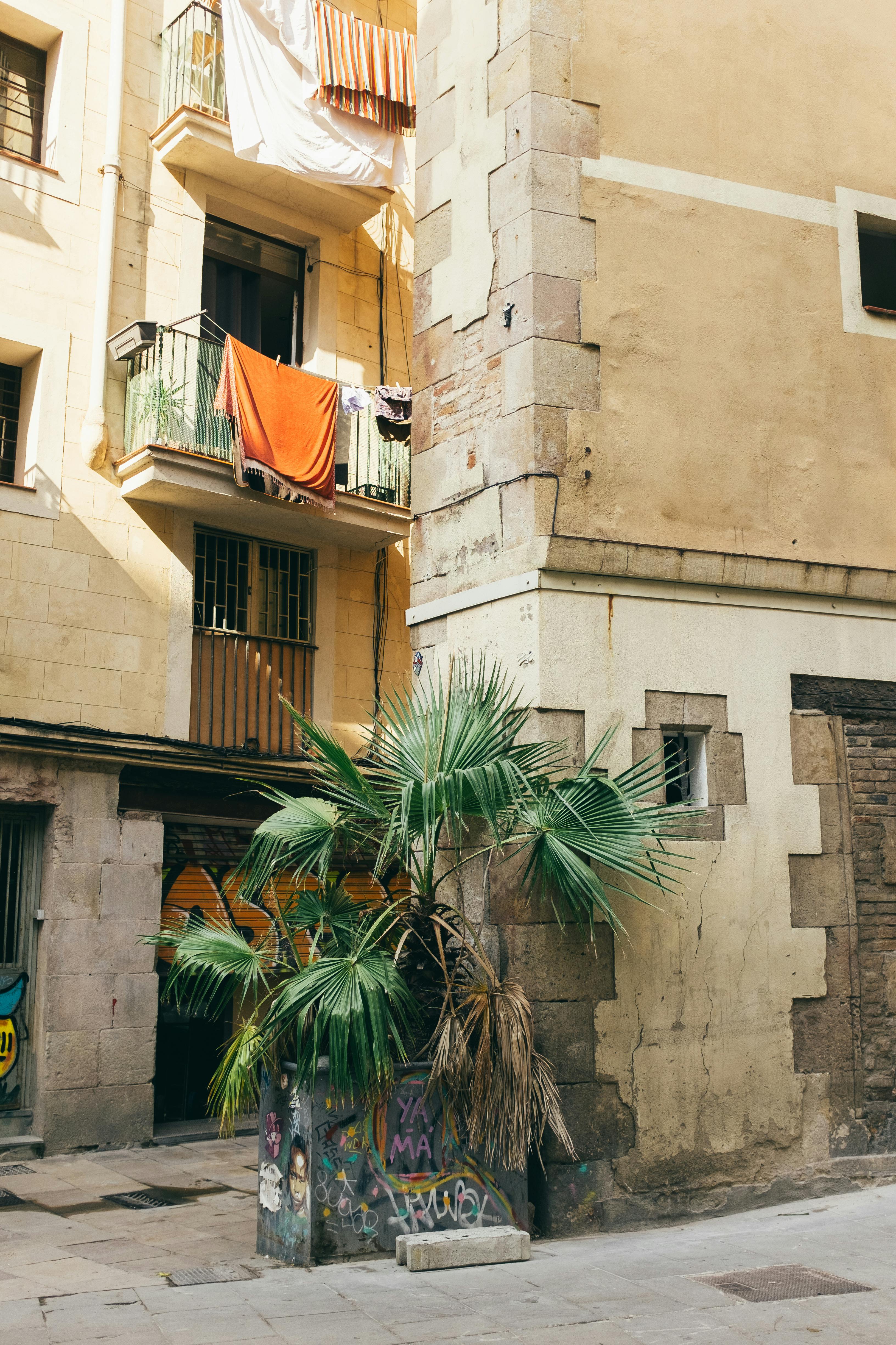 Free A charming old town scene featuring colorful balconies, street art, and palm tree. Stock Photo