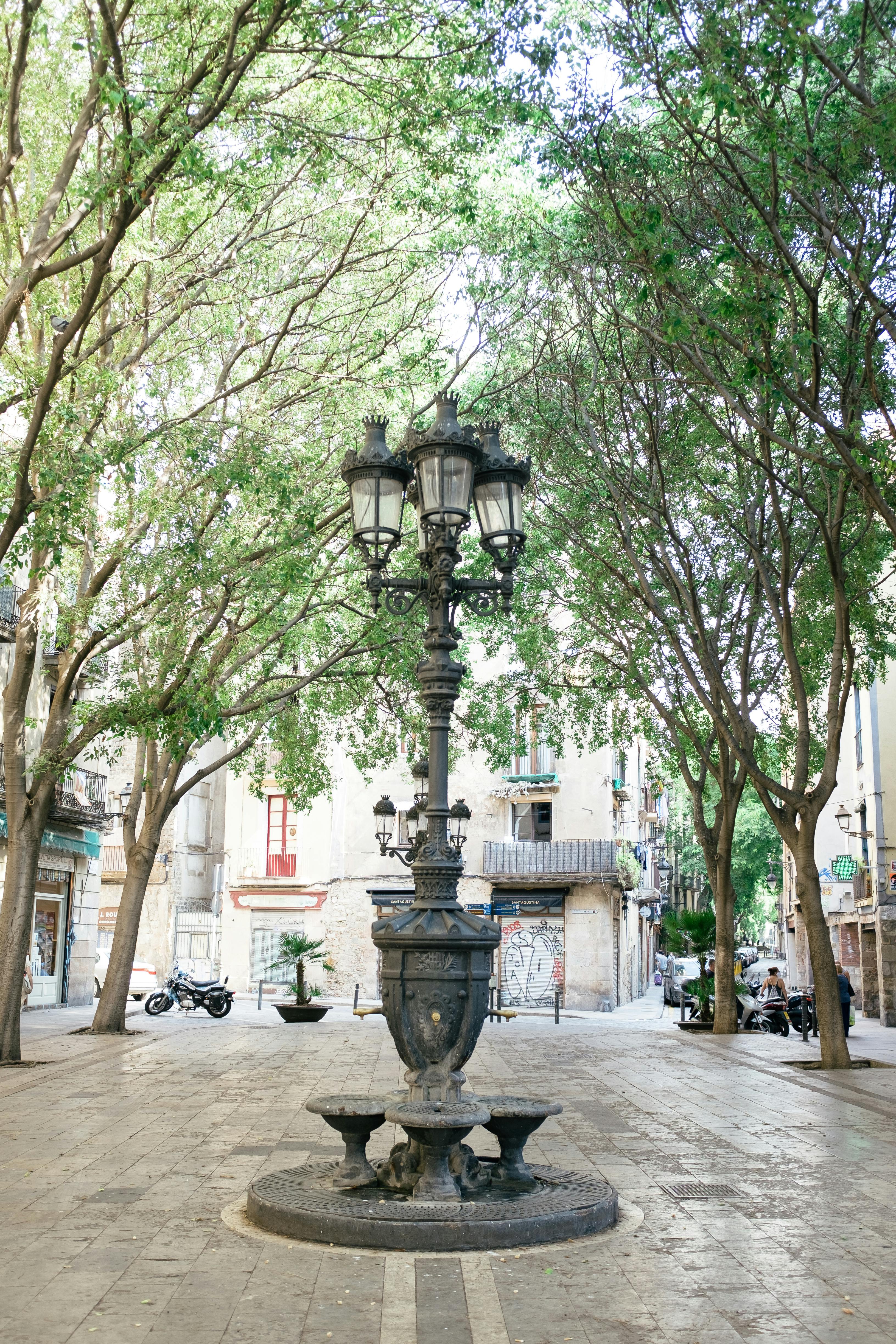 a streetlamp on a park