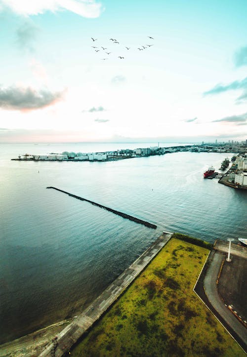 Δωρεάν στοκ φωτογραφιών με αεροφωτογράφιση, θάλασσα, λήψη από drone