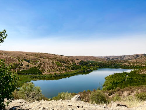 açık hava, ağaçlar, göl içeren Ücretsiz stok fotoğraf