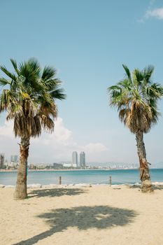 阳光明媚的海滩上，轻松惬意的场景中有棕榈树、沙滩和海洋