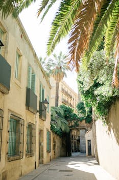 A picturesque narrow street in Barcelona with palm trees and classic architecture.
