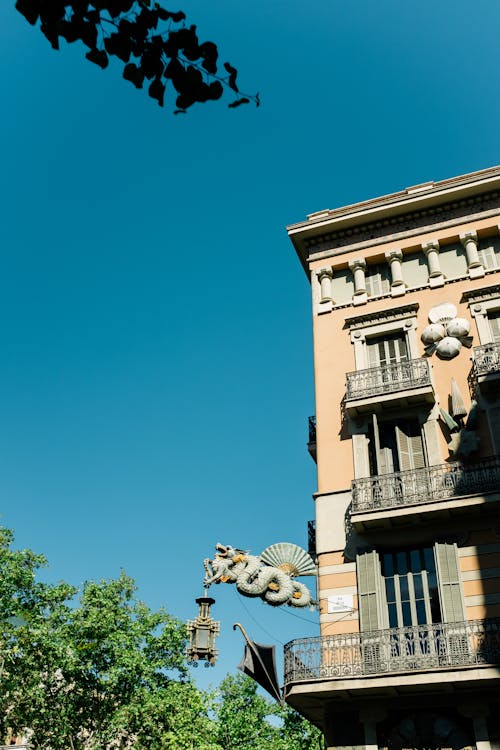 白色混凝土建築與綠樹在藍藍的天空下