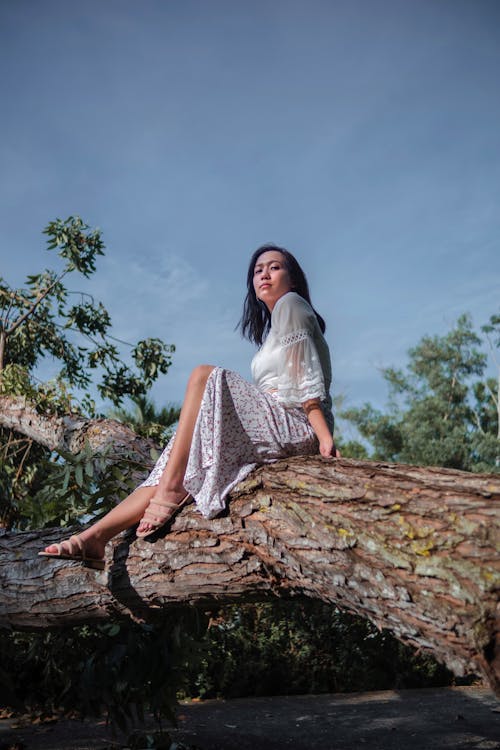 From below side view of young contemplative trendy ethnic female sitting on fallen tree trunk and looking at camera