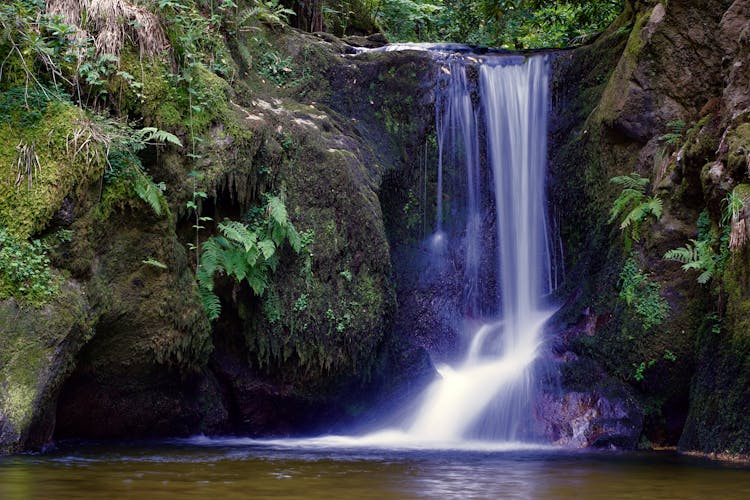 Stunning View Of Forest Waterfalls