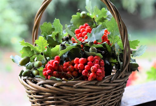 Free Close-Up Shot of a Fruit Basket of Organic Berries Stock Photo