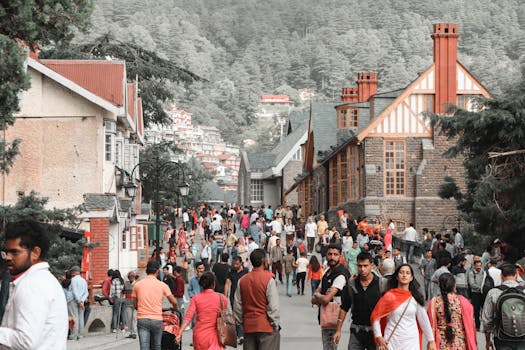 Shimla