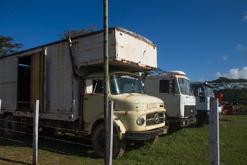 Free stock photo of blue skies, cargo truck, old cars