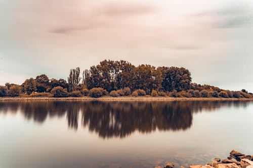 Gloomy Weather in the Lake Near the Trees