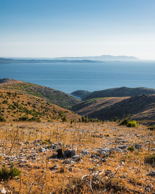 Základová fotografie zdarma na téma čisté nebe, horizont, kopce