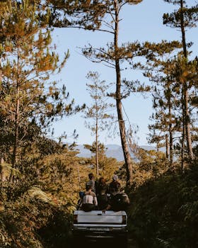 A group of people enjoying a ride through a scenic woodland in fall.