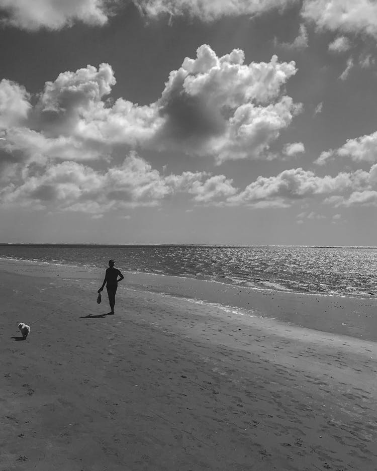 Grayscale Photo Of Person Walking With A Dog On A Beach