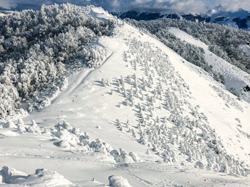 Бесплатное стоковое фото с гора, зима, покрытый снегом