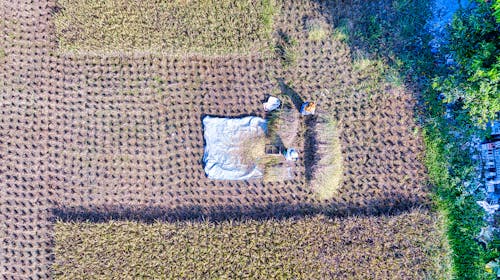 Fotobanka s bezplatnými fotkami na tému hnedé pole, letecké snímkovanie, orná pôda