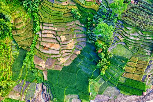 Free Stunning aerial view of lush green rice terraces in Purwakarta, Indonesia. Stock Photo
