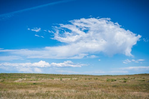 Amazing scenery of white stratus clouds floating in bright blue sky over peaceful grassy field in countryside on sunny day