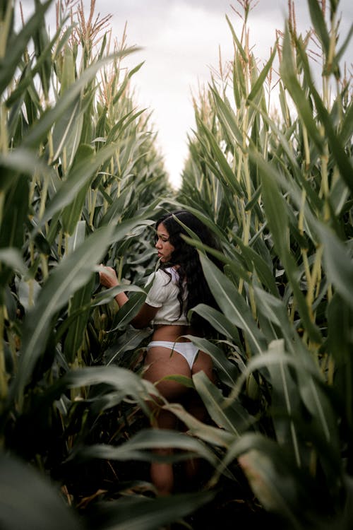 Woman Standing in Corn Field
