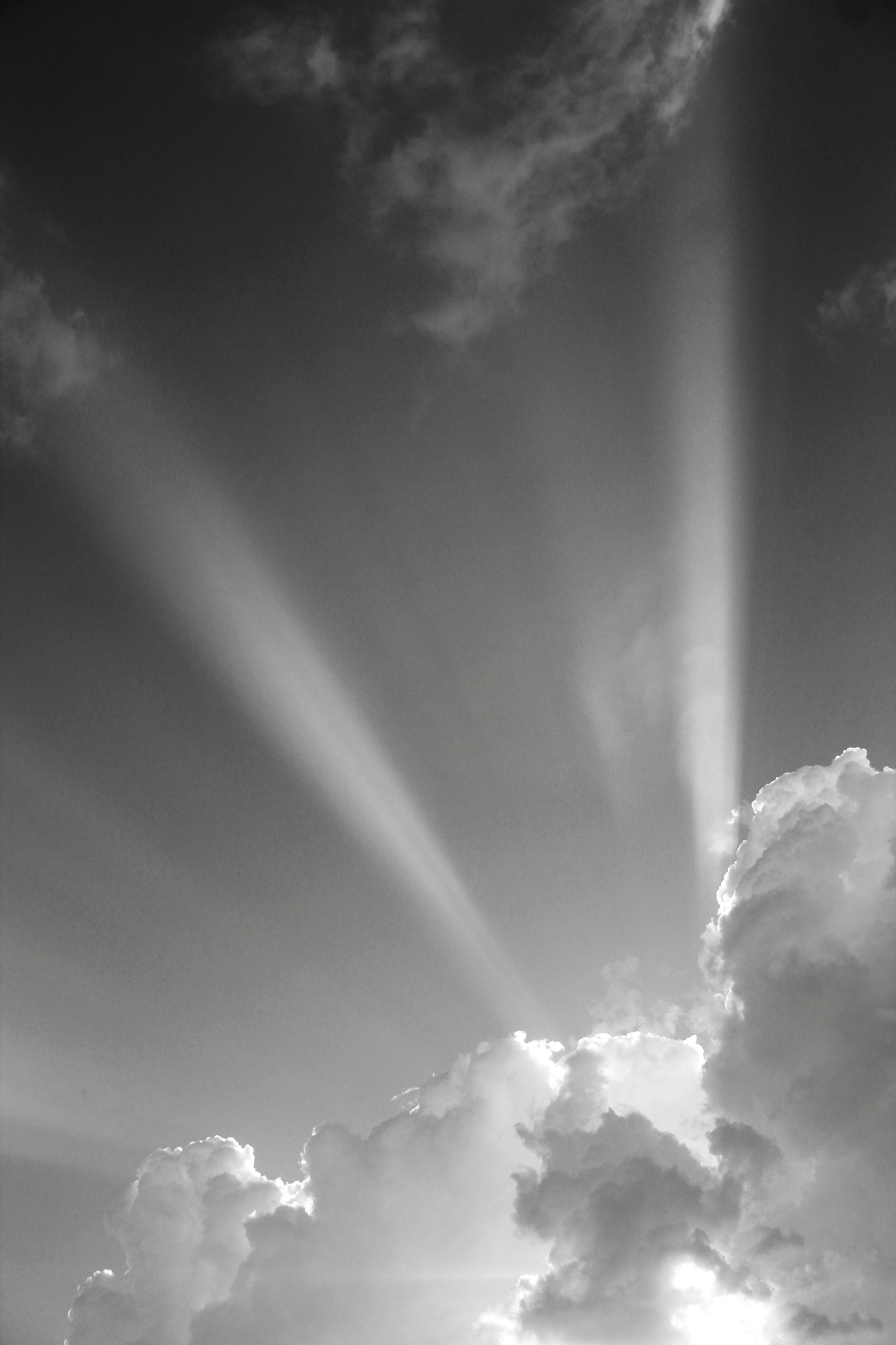 Las Nubes Del Cielo En Un Día Soleado Cielo De Fondo Blanco Nubes Fotos  Retratos Imágenes Y Fotografía De Archivo Libres De Derecho Image  50039662
