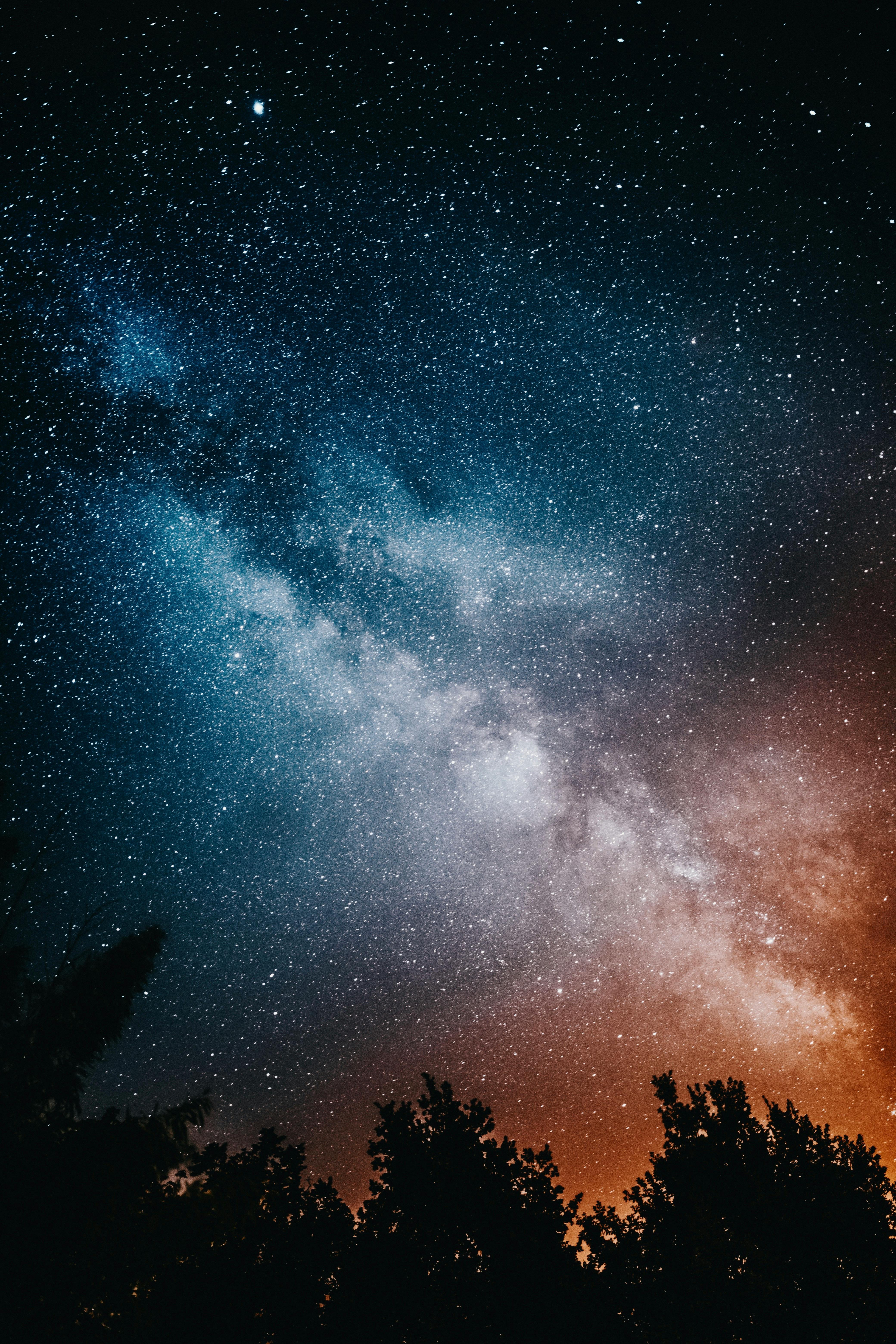 Wallpaper Blue and Black Starry Night Sky Background  Download Free Image