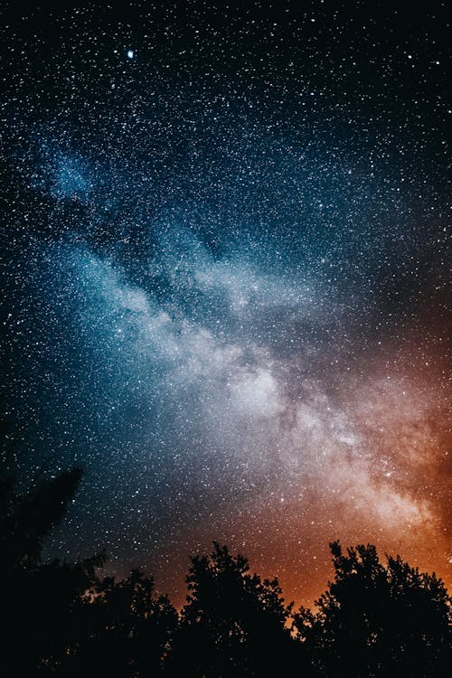 Kostenlos Dramatischer Sternenhimmel über Baumgipfeln Bei Nacht Stock-Foto