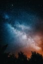 Dramatic starry sky over trees peaks at night