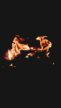 A dramatic close-up of bright flames dancing against a stark black backdrop, creating a sense of warmth and energy.