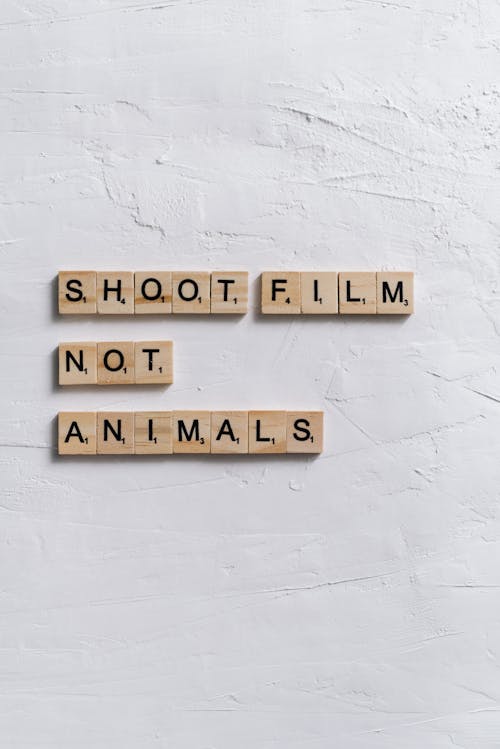 Ingyenes stockfotó csempézés, fehér felület, filmet forgatni nem állatokat témában