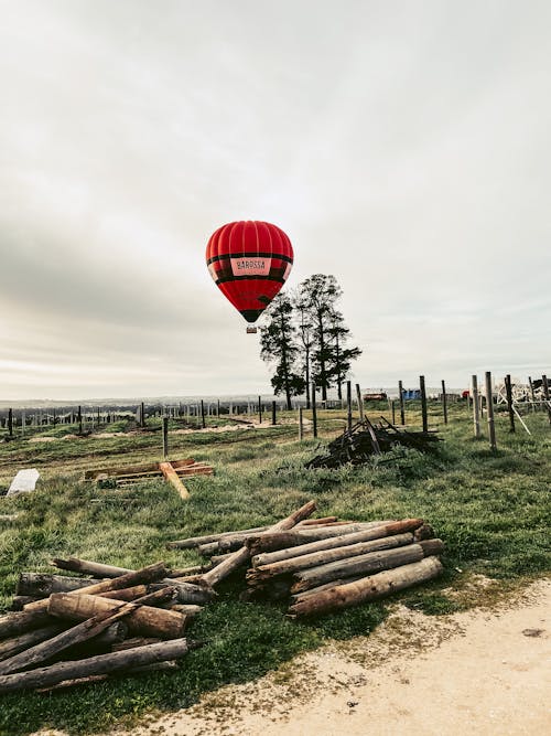 Základová fotografie zdarma na téma balón, dřevo, mraky