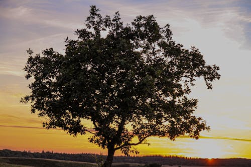 Kostenloses Stock Foto zu abend, apeldoorn, drei