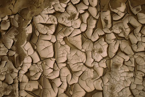 Darmowe zdjęcie z galerii z błoto, gleba, pęknięty