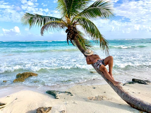 Man Relaxing on Palm Tree Trunk on Beach