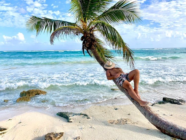 Man Relaxing On Palm Tree Trunk On Beach