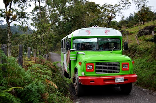 Free Green Bus Traversing a Countryside Road Stock Photo