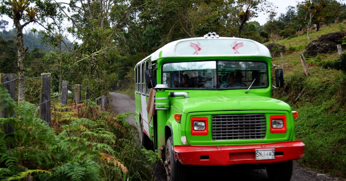 Countryside Bus Green Bus Traversing a Countryside Road · Free Stock Photo