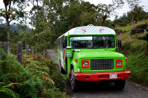 Free Bright green and red bus on a rural road surrounded by lush greenery in Colombia. Stock Photo
