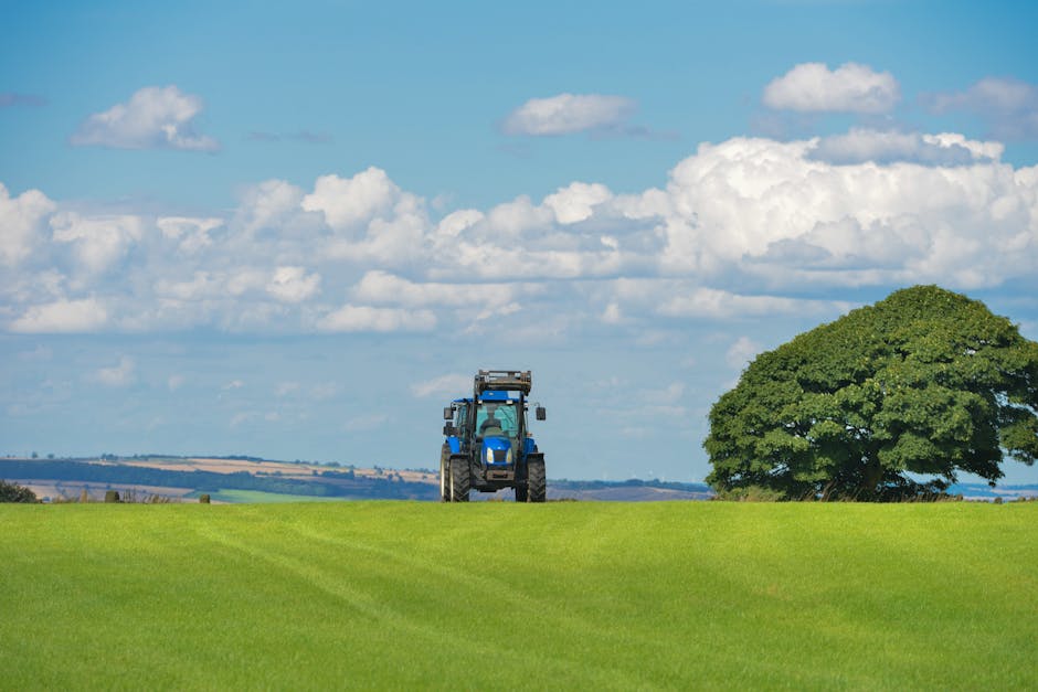 agriculture, farm, field