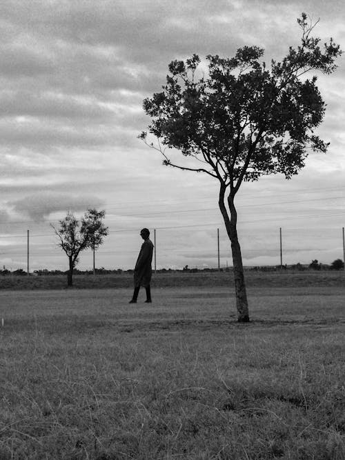 Person Standing in Field near Tree