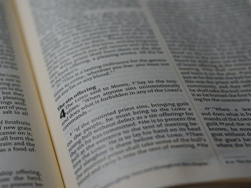 Scriptures From a Bible