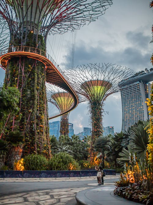シティ, シンガポール, ダウンタウンの無料の写真素材