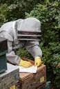 Beekeeper writing information while harvesting honey