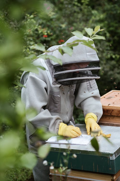 Faceless beekeeper writing information during harvest